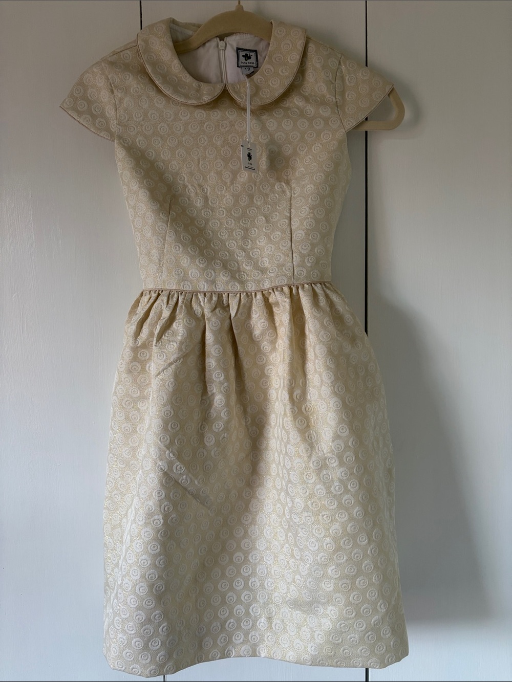 Busy Bees Peter Pan Collar Cream Girls' Dress Size 12
